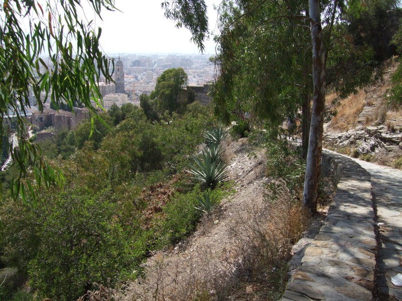 Anadalusien 2009 - 0145 